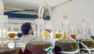 Exemples de réalisation de Vidémo, agence vidéo à Brest - vidéo promotionnelle, Bretagne Ferme Marine